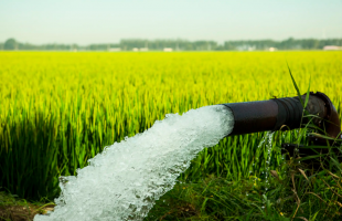 农业灌区和水产养殖为何纳入排污口整治？