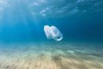 日本研发可在海中自然降解的新型塑料