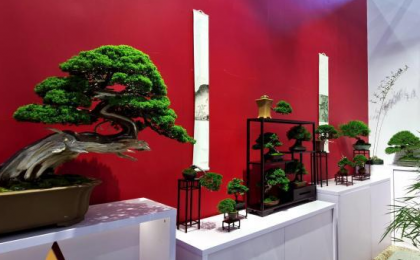 2022中国厦门国际花卉及花园园艺博览会启幕 亮点纷呈