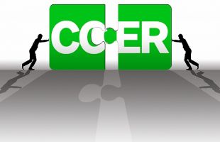 生态环境部李高：争取尽早重启中国CCER市场