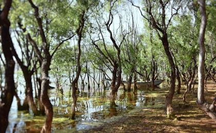 我国湿地保护体系初步建立 湿地保护进入提升质量新阶段