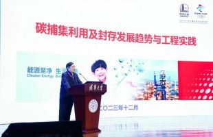 中国工程院院士、中石化科协主席李阳：加大CCUS技术应用推动形成新的战略产业