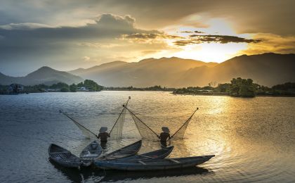 研究报告：湄公河流域1/5鱼类存在灭绝风险
