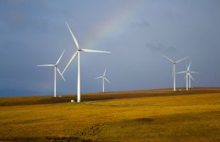 电气风电：2023年实现营业收入101.1亿元，海风龙头业绩反转可期