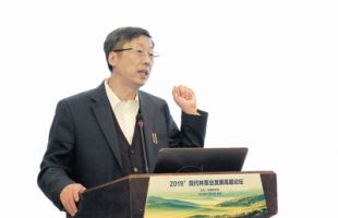 中国工程院院士刘世荣：实现“双碳”如何用好森林这座富矿？