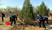 全国绿化委：春季植树造林展开，义务植树尽责形式有八大类