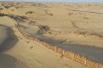 新疆出台9条措施支持塔克拉玛干沙漠边缘阻击战