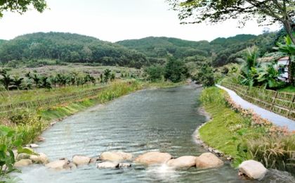 海南五指山森林保育与水土保持修复项目有序推进