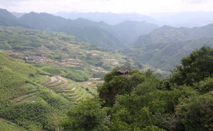 在“浙林碳汇”区域交易里，丽水成交金额超五十六亿元