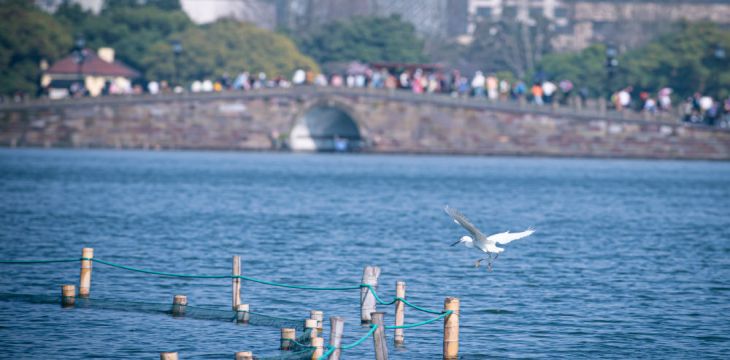 我国整治河湖库乱象成效显著