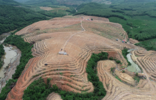 毁林频发、污水直排……海南生态环境保护例行督察公布两地典型案例