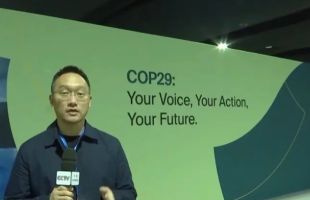 国际碳交易能否起航？COP29大会谈判代表透露最新进展