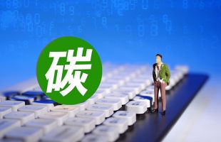 全球碳市场：取得“突破”，但仍“早期”