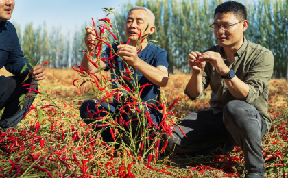 中国科学家获联合国环境规划署2024年“地球卫士奖”