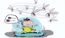 疾控专家发布“春季灭蚊作战指南”：清积水、常打扫
