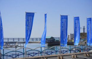中国物流与采购联合会：我国绿色供应链管理标准体系初步建立