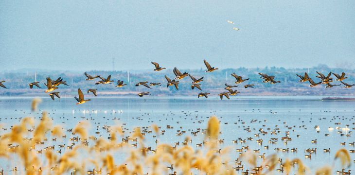 以法治之力推进美丽中国建设——写在生态环境法典草案首次提请审议之际